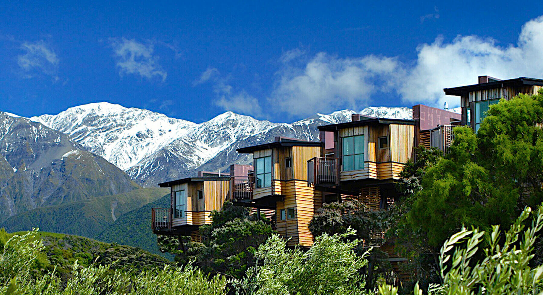 Hapuku Lodge and Treehouses