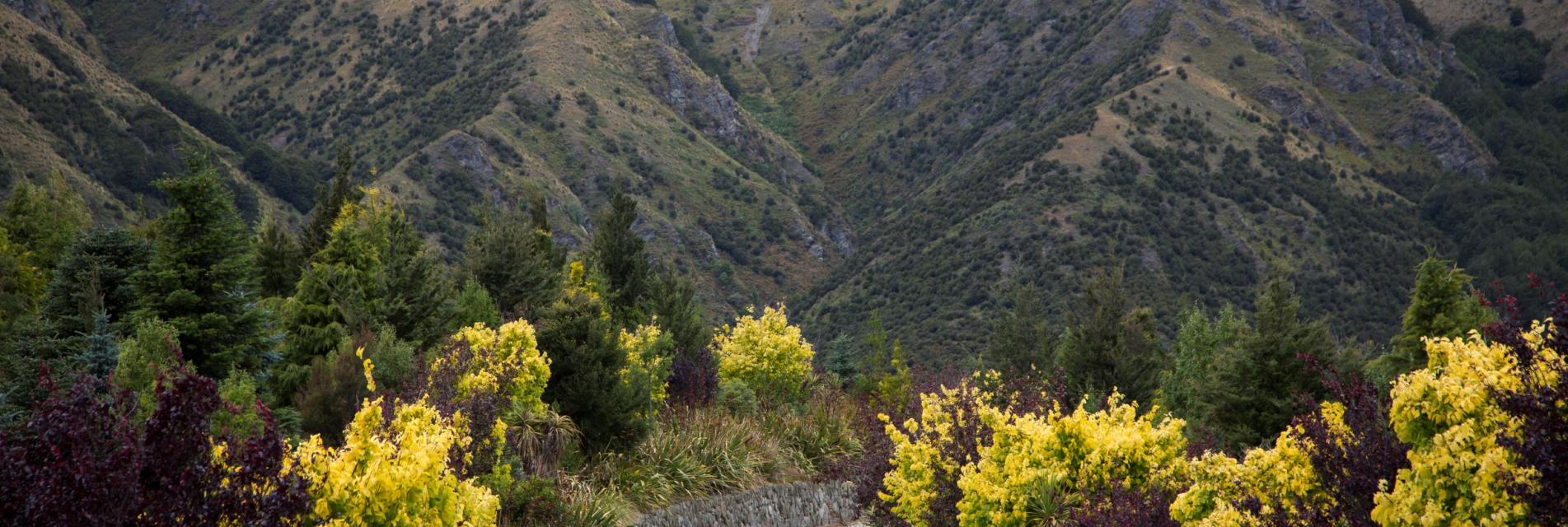 Mahu Whenua Entrance2